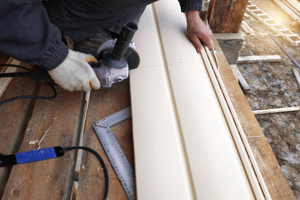 Best Siding Painting and Refinishing  in Jasper, IN